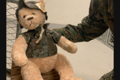 Bear included with military care package